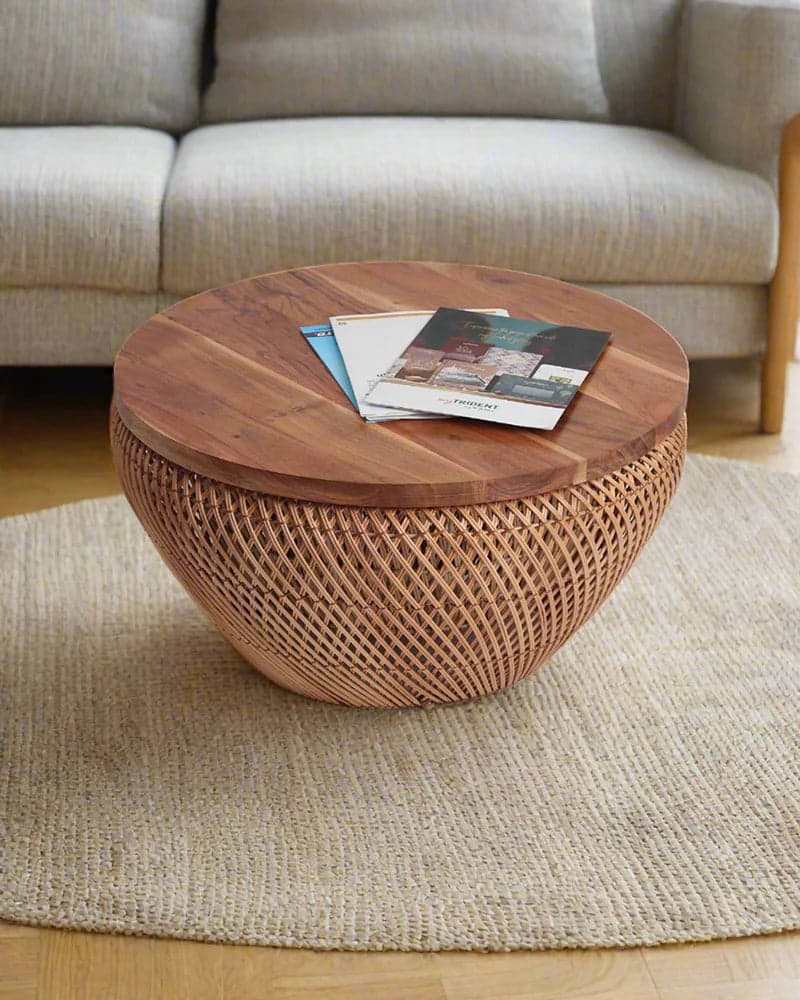 Stylish Brown Coffee Tables for Living Room and Lounge Areas by Haber India