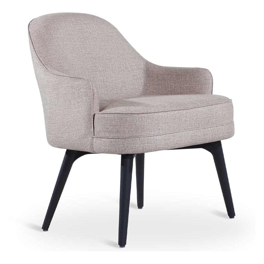 Aula - Ash/Oak/Beech Lounge Chair, Stained 3 by Alankaram