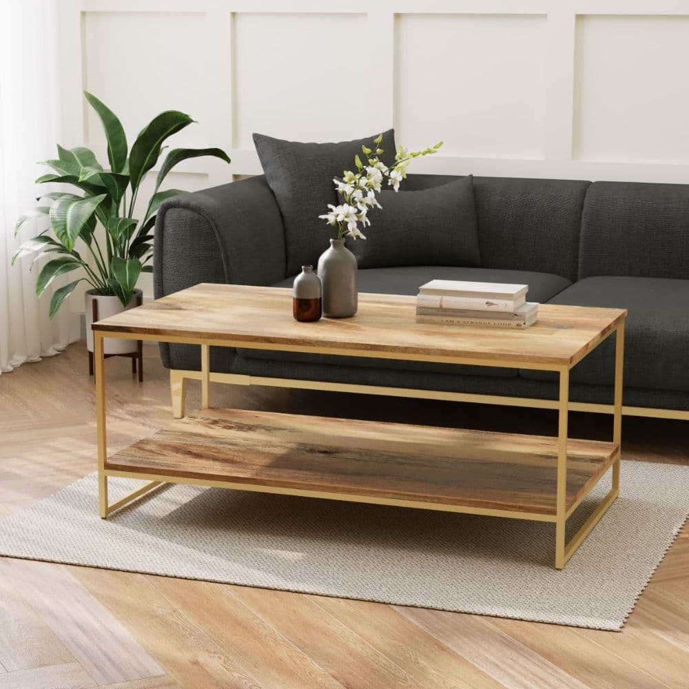 New York Mango & Brass Open Coffee Table For Living Room by Furnhands