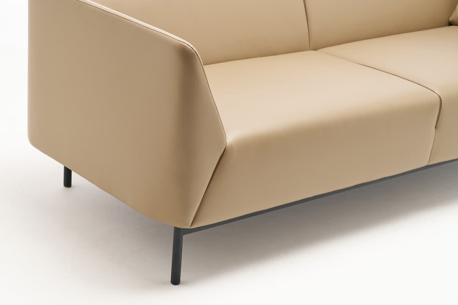 Odda by Rapido