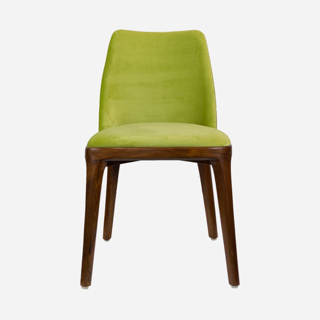 Noah by Bluedot Design